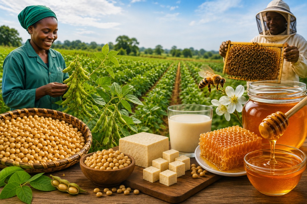 Agribusiness innovations in Soya bean & honey value chains in Eastern Uganda