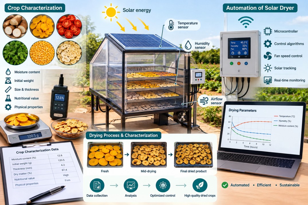 Crop Drying Characterization for Automation of a Solar Dryer